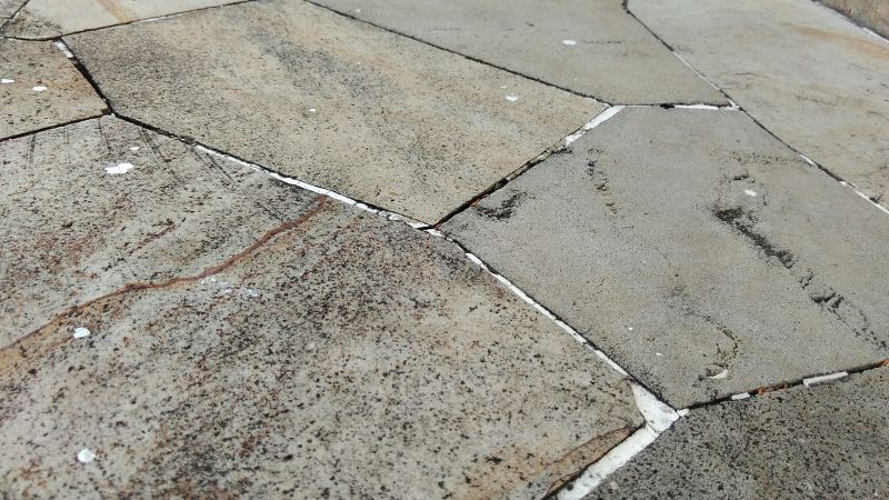Flagstone Grout Repair